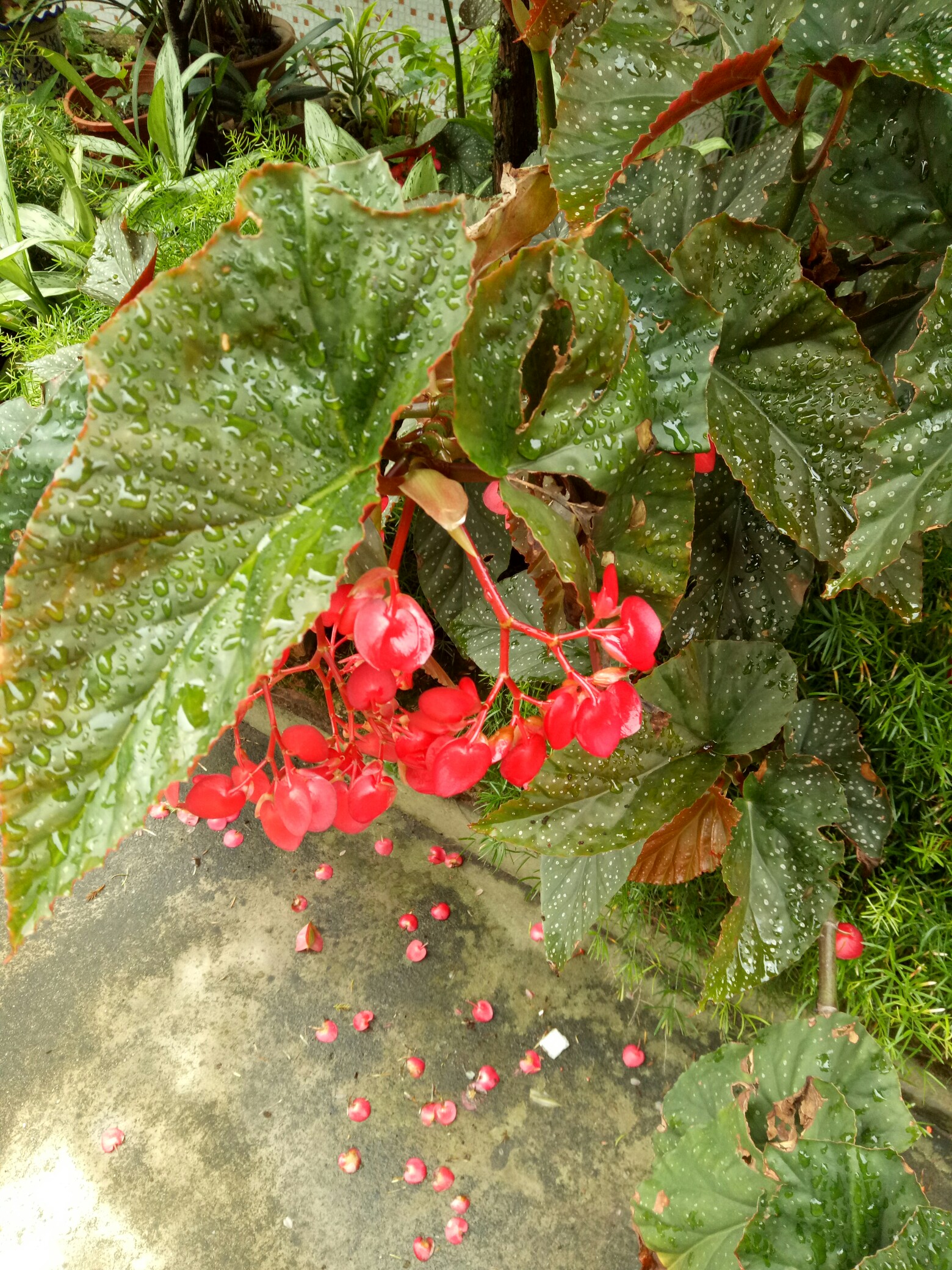 关于=G!咂8??砿?Y8虂&酙L]p羵7,#似嶚咽c]?灘.g?綴?澷;绉h?L?憝?氂c旿强聻??莸???9y飖胘?簼的信息